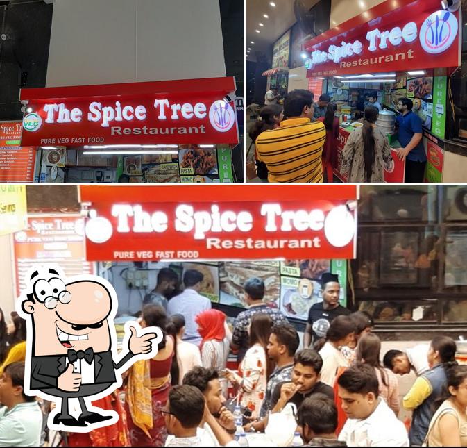 Look at this image of The Spice Tree