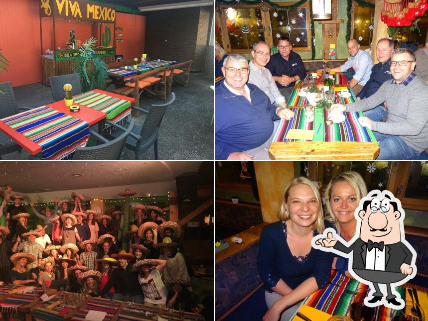 Dai un'occhiata agli interni di Crazy Cactus