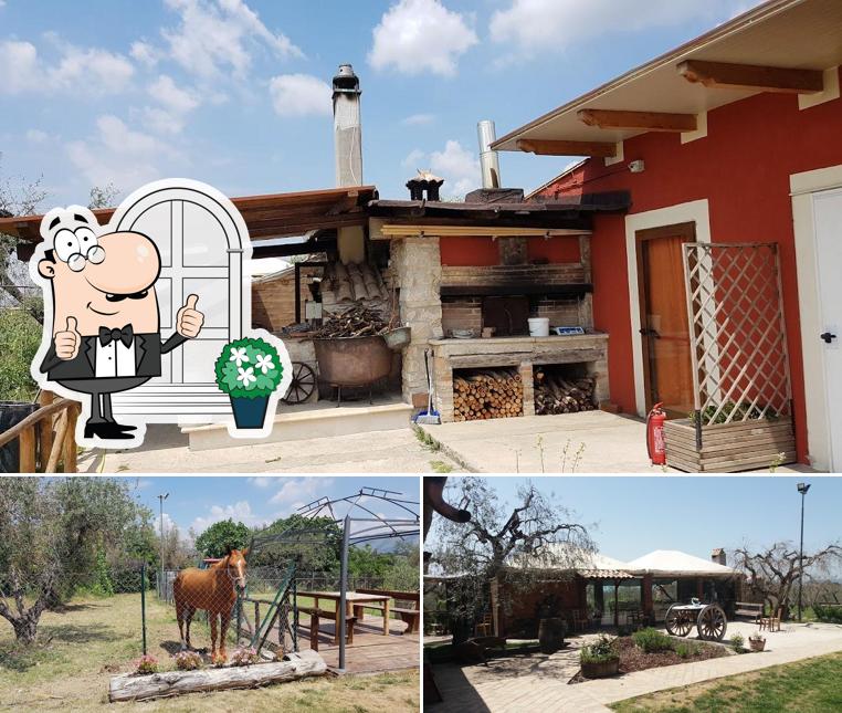 Vous pouvez prendre un bol d'air frais dans l'espace ouvert de Azienda Agricola Marcotulli