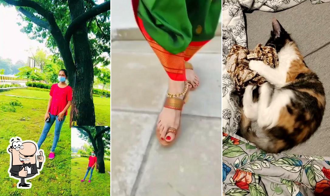 Sumit Bar & Restaurant photo