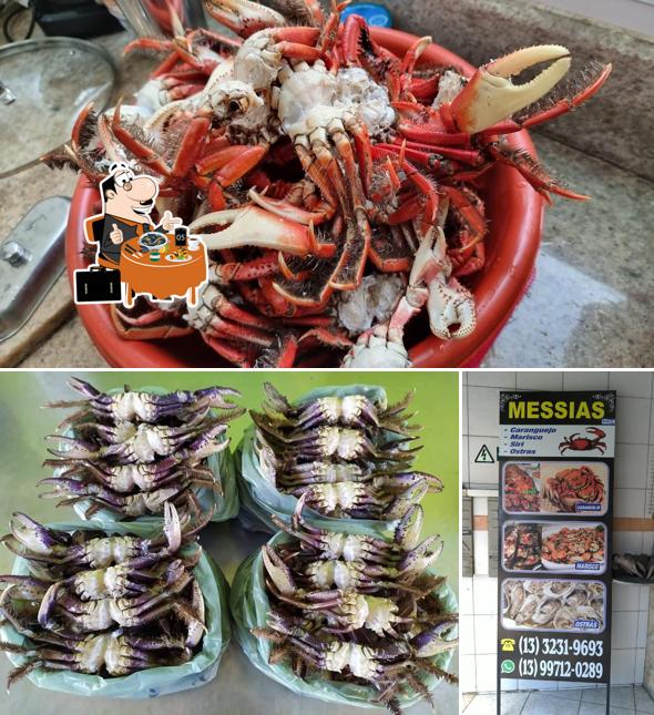 Mexilhões em Caranguejo do Messias