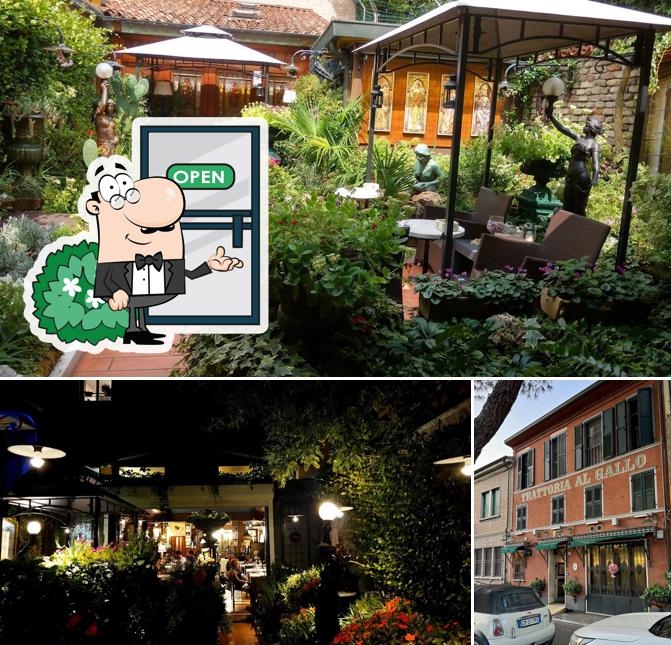 Puoi goderti l'aria fresca dal dehors di Antica Trattoria Al Gallo 1909
