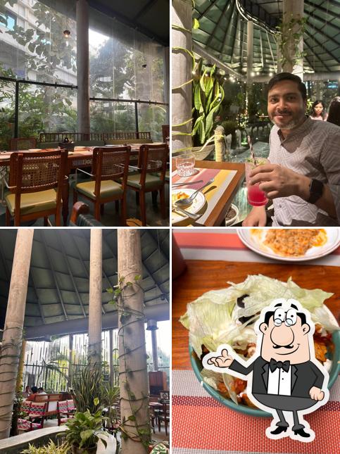 The interior of La Mensa Multi Cuisine