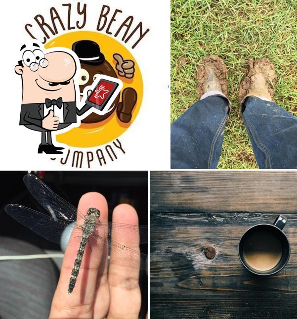 Here's an image of Crazy Bean Company