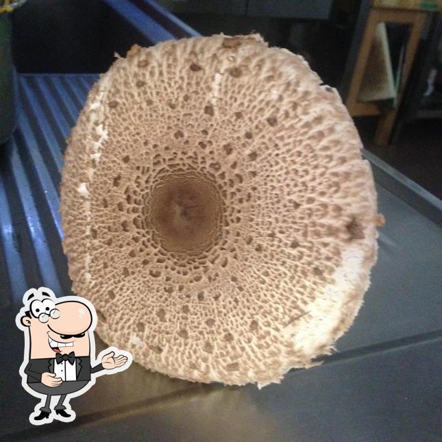 Ecco una foto di Al Cacciatore - Albergo - Ristorante - Bar