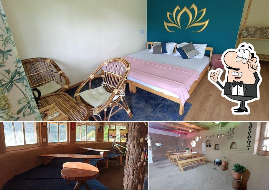 Check out how CrazyCub Camp and Cafe looks inside