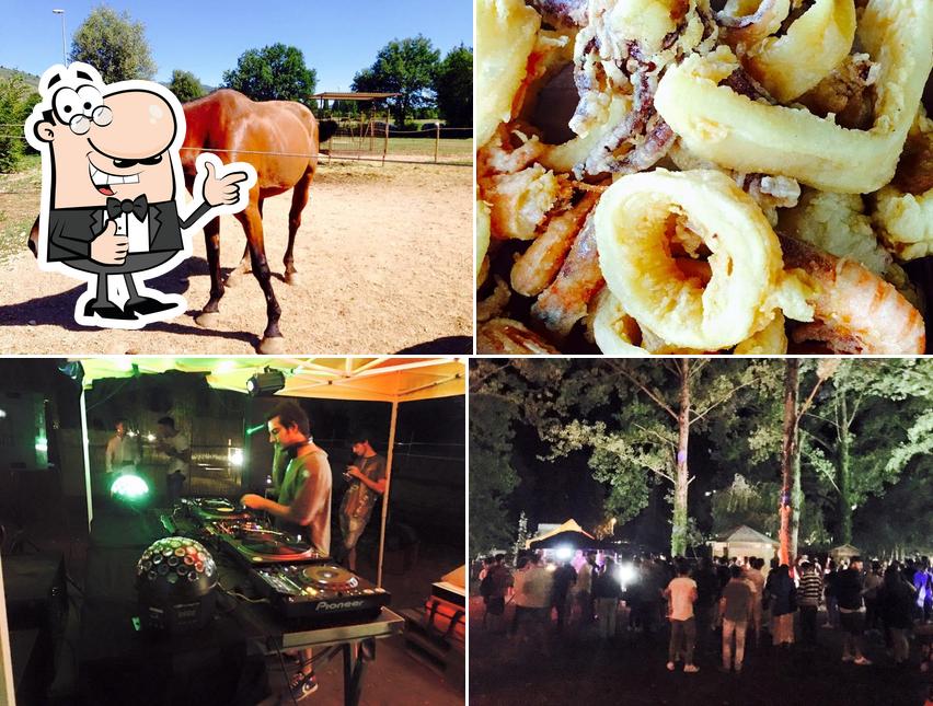 Ecco una foto di Ippocampo