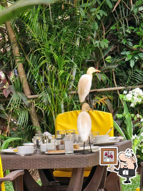 Take a seat at one of the tables at Olegario's