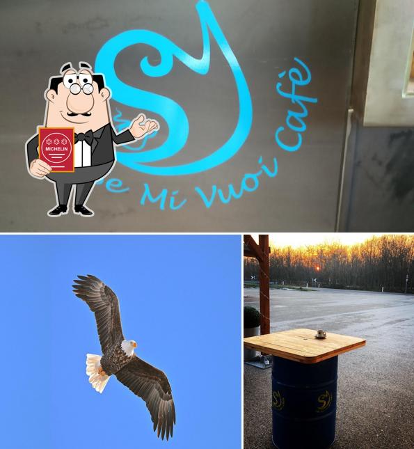 Vedi questa immagine di Se Mi Vuoi Cafè