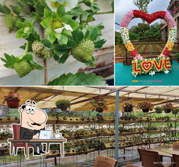 Check out how Mount View Strawberry Garden and Restaurant looks inside