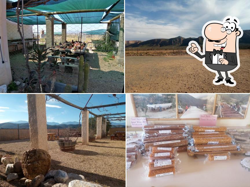 Jetez un coup d’œil à quoi ressemble Elnatan Calitzdorp Fruit à l'extérieur