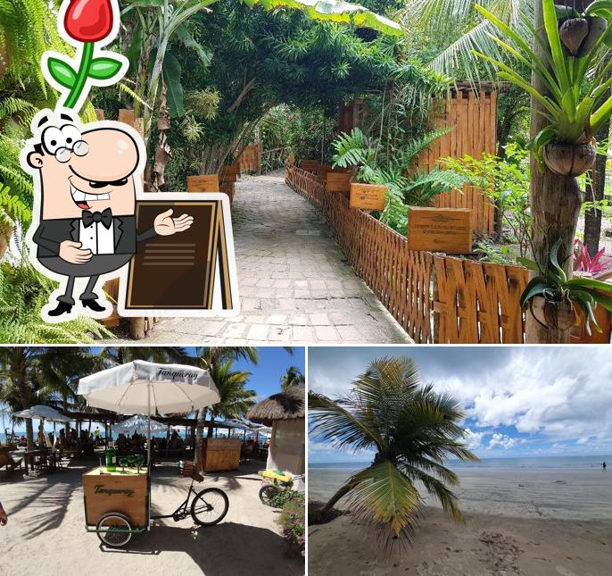 Veja imagens do exterior do Hibiscus Beach Club