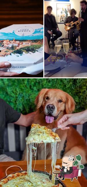 Veja imagens do interior do Luna Bianca Pizzeria