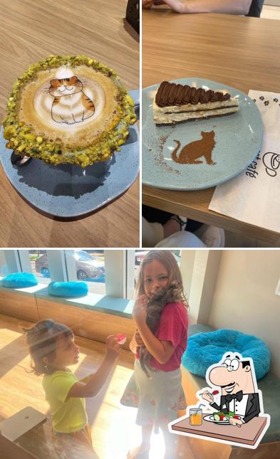 O My Cat Café Cascavel se destaca pelo comida e exterior