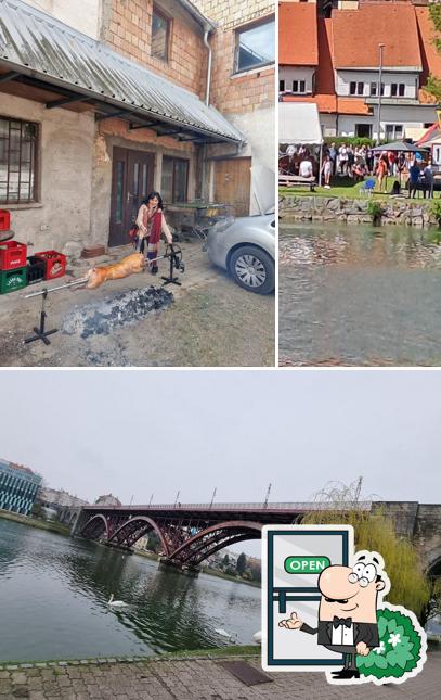 Bar Benetke, Ljubica Petreski s.p.