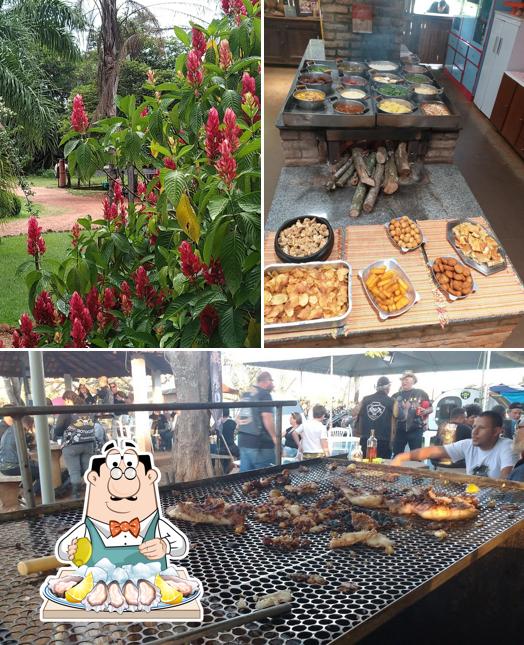 Ostras em Ser Tão Mineiro