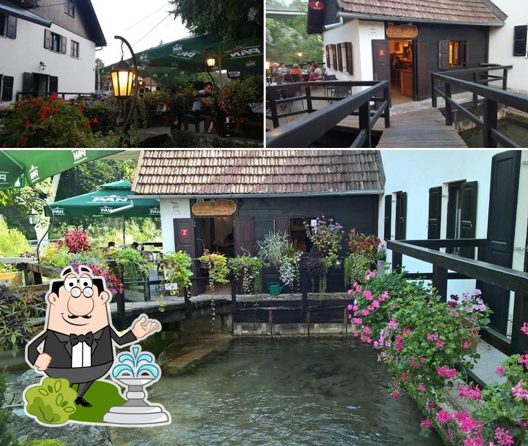 Goditi la vista dall'area esterna di Vodena ovca