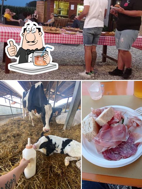 Tra le varie cose da Azienda Agricola Bisiola si possono trovare la bevanda e interni