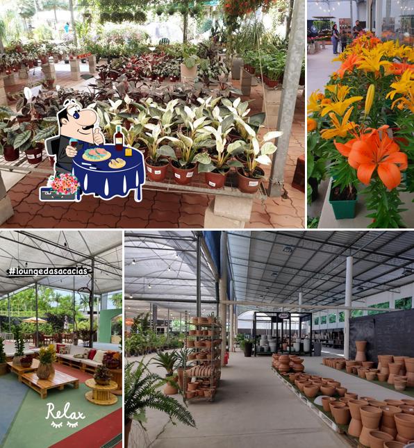 Sashimi em Horto das Acácias - O Maior Garden Center Do Rio