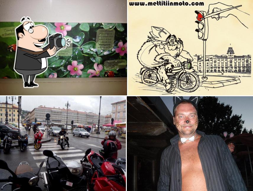 Ecco una foto di Bar Buffet Da Alex Trieste