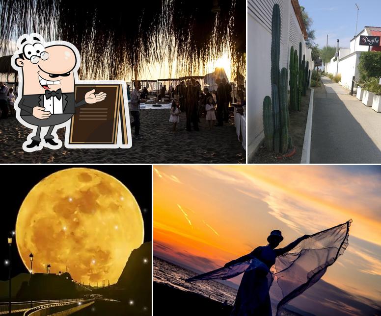 Singita Miracle Beach