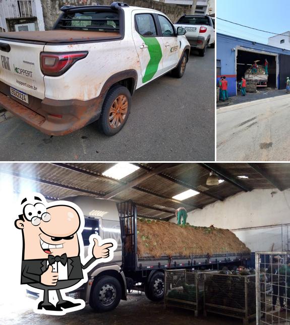 See the photo of Atacadista Machado - Michel Melancias