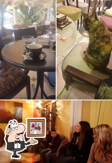 Siediti a un tavolo di Caffe bar Cuba Libre