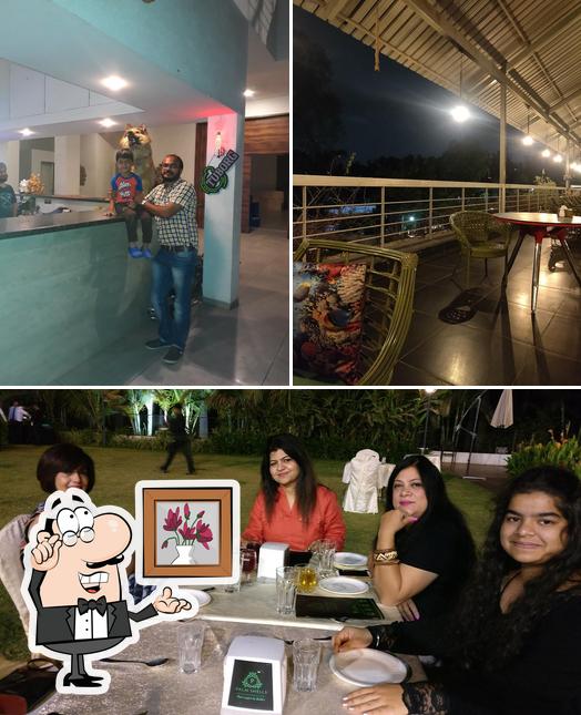 Check out how Palm Shells looks inside