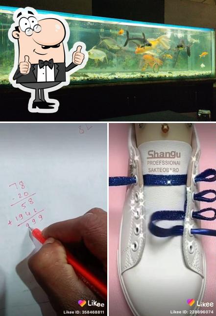 Moon Light Bar & Restaurant