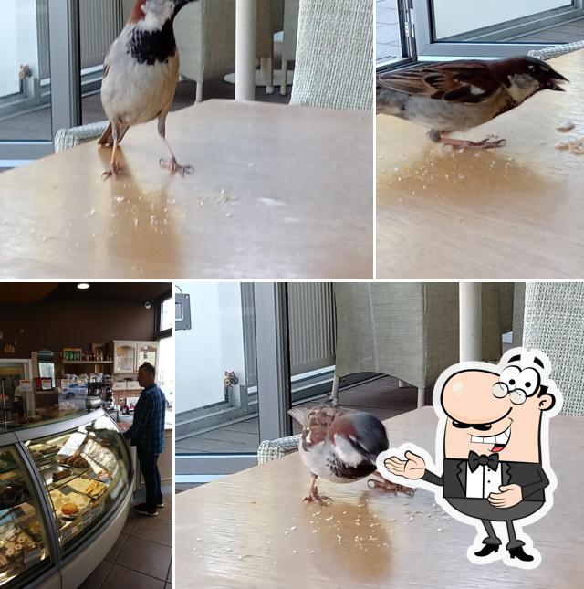 Slastičarnica i pekarnica Greblica