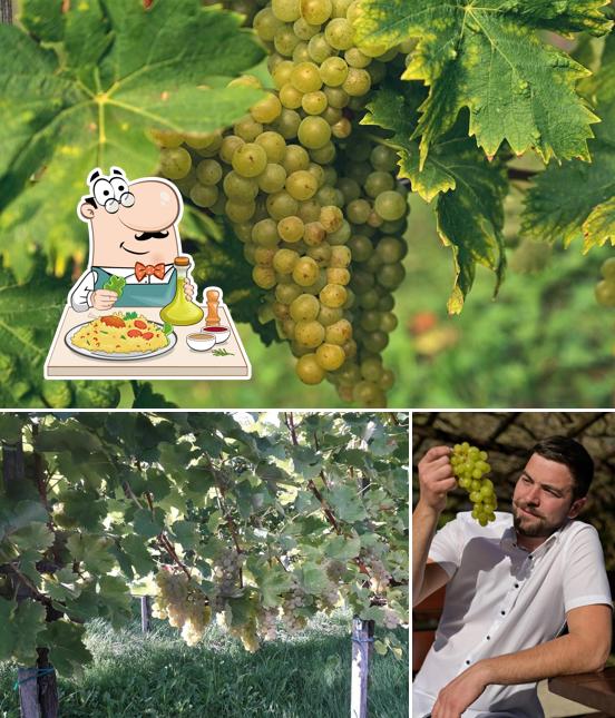 Cibo al Vineyard Vrecl