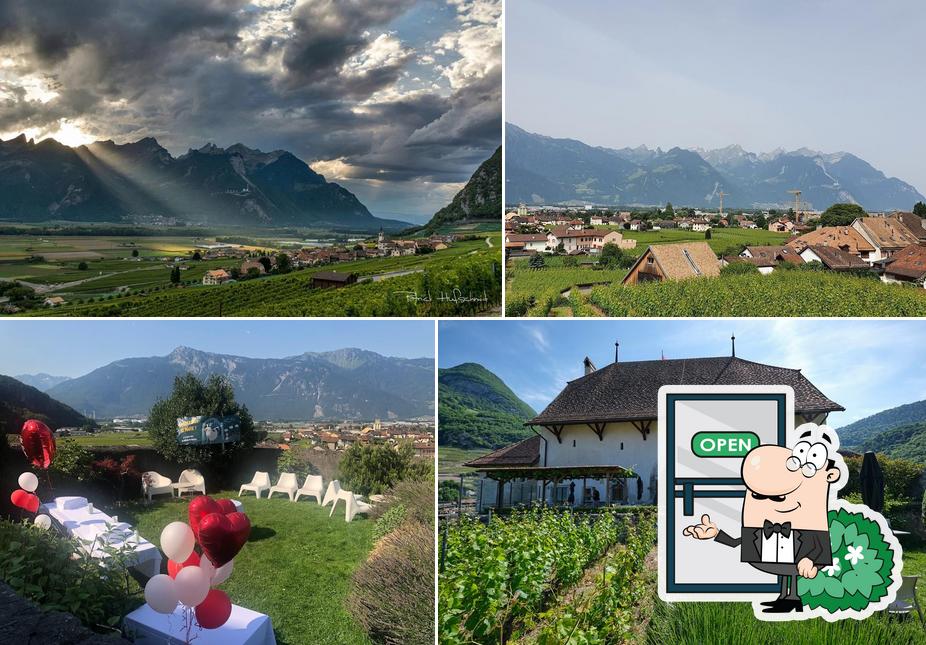 Musée Vaudois de la vigne et du vin