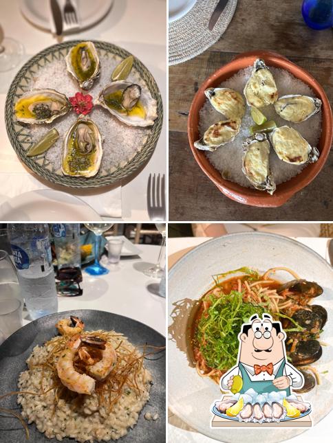 Ostras em Amado Pescador