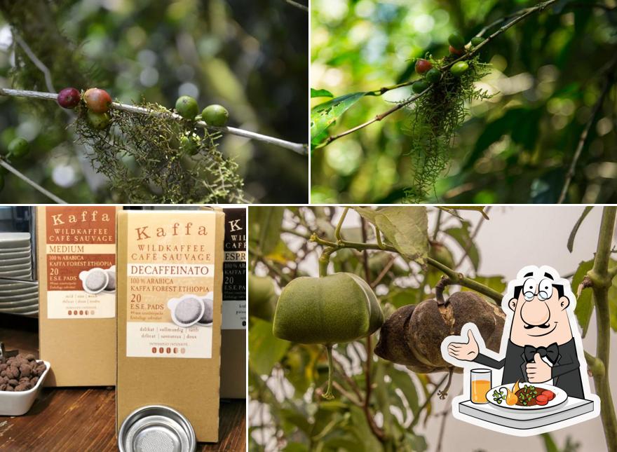 Platti al Original Food GmbH - KaffaWerkstatt