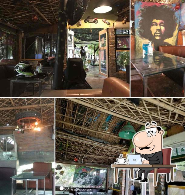 Check out how Throttle Shrottle looks inside