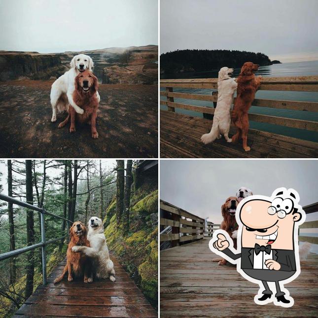 O exterior do Vovó Vegana