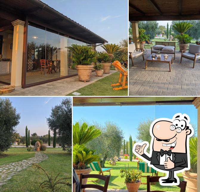 Vedi questa foto di Agriturismo Casa degli Ulivi