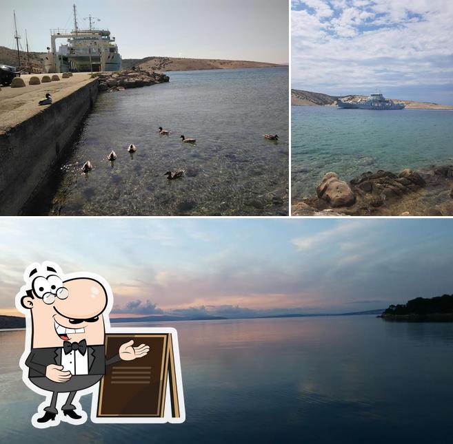 Gli esterni di Jadran