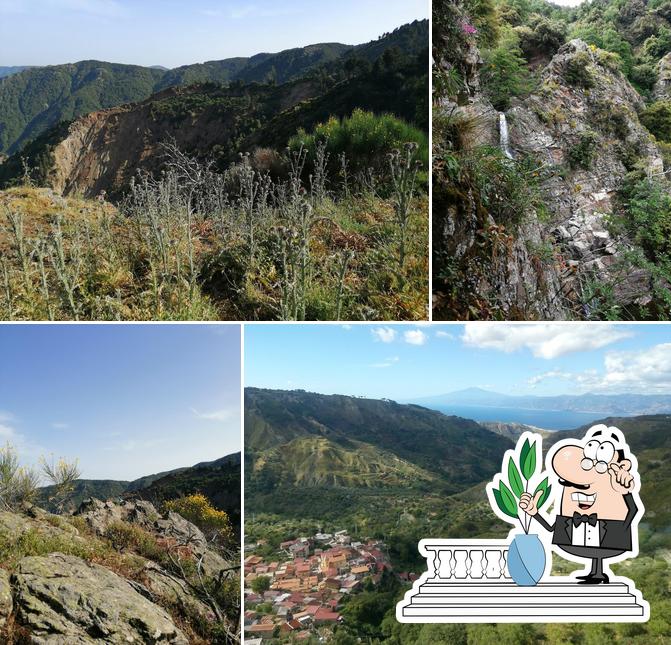 BAR TABACCHI PARADISO