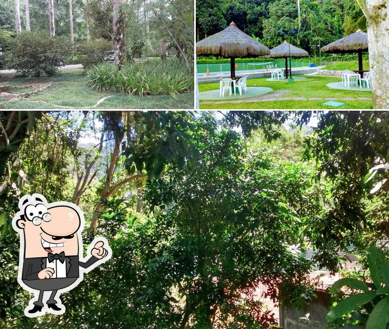 Veja imagens do exterior do Clube dos Macacos