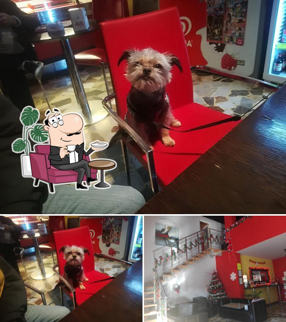 Dai un'occhiata agli interni di Bar Atlantic