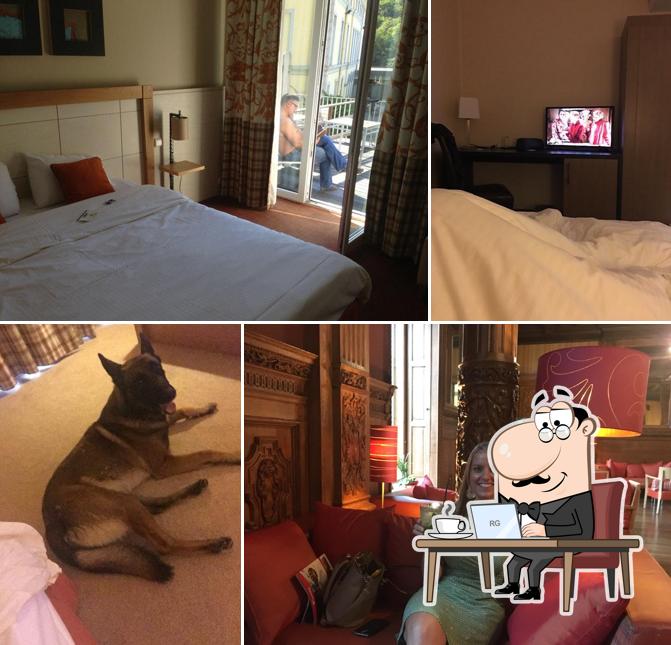 Best Western Dinant, Castel de Pont a Lesse