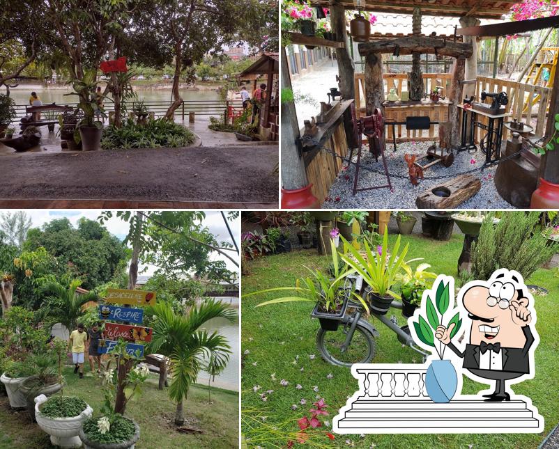 Você pode espairecer no na área externa do Pesque e Pague Quintal de Casa