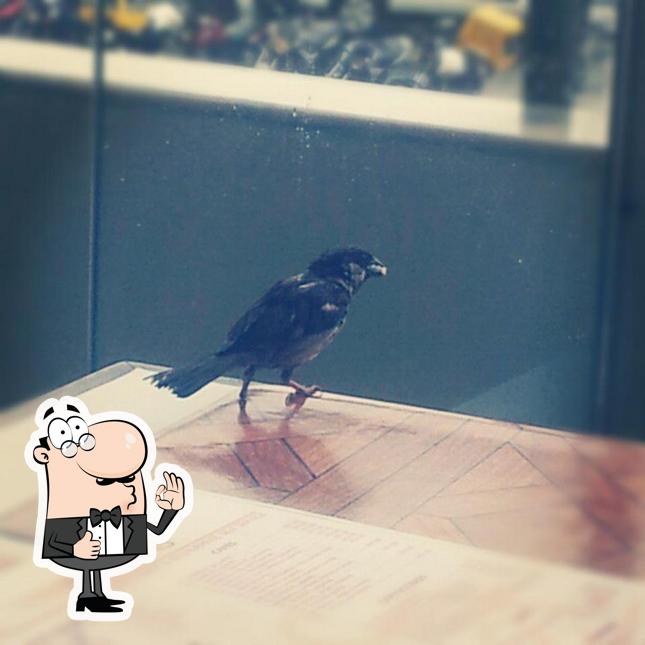 Here's a pic of Ric Filet