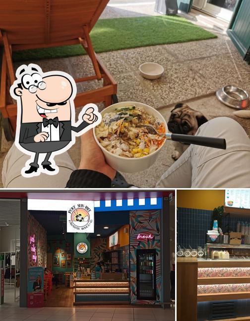 Dai un'occhiata agli interni di Poke Sun-Rice