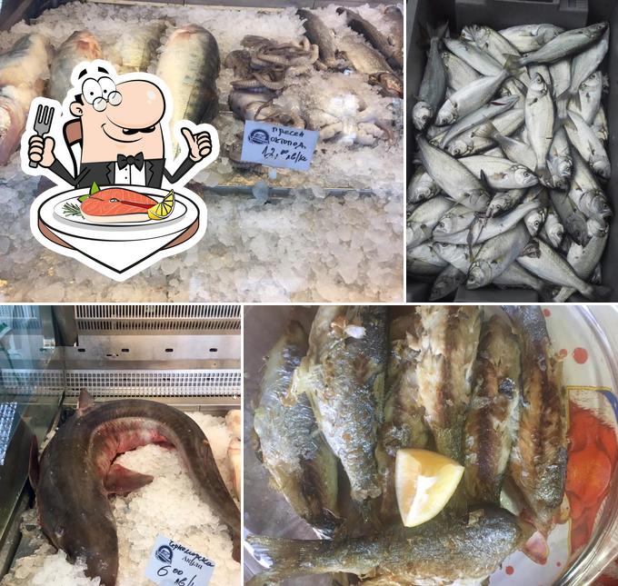 Ribarnitzata FishTrap