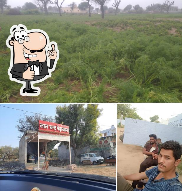 Here's a picture of Lalchand Peda Wala (Chirawa bypass branch)