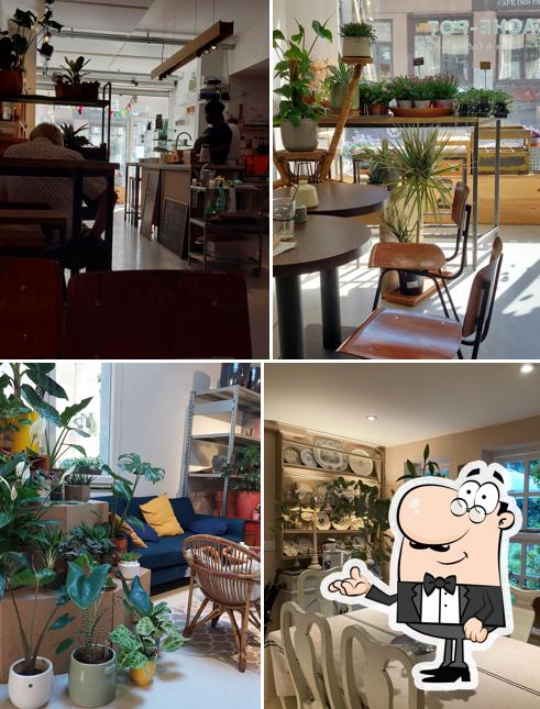 Découvrez l'intérieur de Cache-Pot