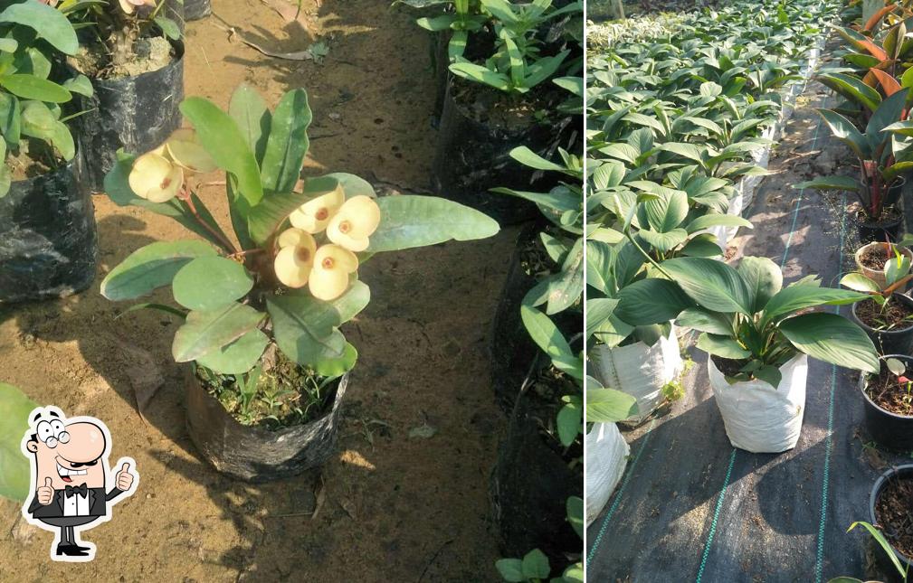 Here's an image of Red Fort, Cafe Grill & Restro