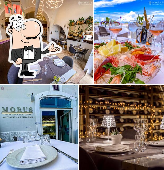 Morus – Ristorante